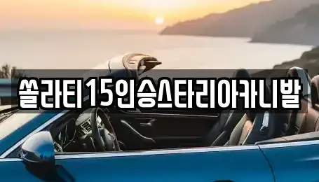 경기도 양평군 양서면 렌트카 전문 쏠라티15인승스타리아카니발