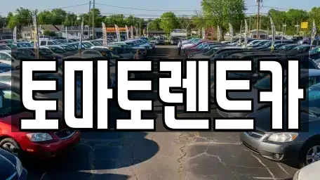경기도 양평군 양서면 렌트카 전문 토마토렌트카
