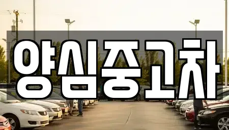 경기도 양평군 양서면 중고차매매 전문 양심중고차