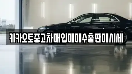 경기도 양평군 양서면 중고차매매 전문 카카오토중고차매입매매수출판매시세