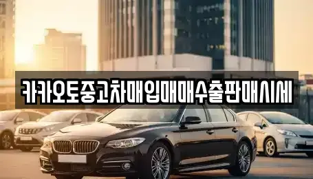 경기도 양평군 중고차매입 전문 카카오토중고차매입매매수출판매시세