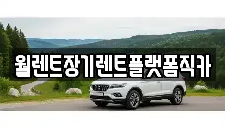 경기도 오산시 오산동 장기렌트카 전문 월렌트장기렌트플랫폼직카