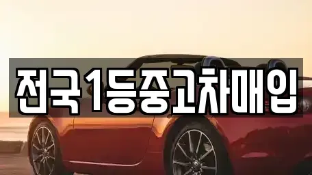 경기도 오산시 오산동 중고차매입 전문 전국1등중고차매입