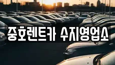 경기도 용인시 수지구 풍덕천동 렌트카 전문 중호렌트카 수지영업소