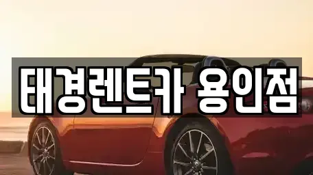 경기도 용인시 수지구 풍덕천동 렌트카 전문 태경렌트카 용인점