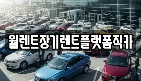 경기도 용인시 수지구 풍덕천동 장기렌트카 전문 월렌트장기렌트플랫폼직카