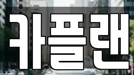 경기도 용인시 수지구 풍덕천동 장기렌트카 전문 카플랜