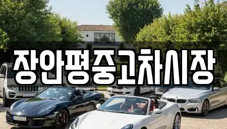 경기도 용인시 수지구 풍덕천동 중고차 전문 장안평중고차시장
