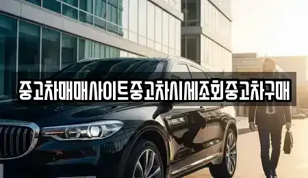 경기도 용인시 수지구 풍덕천동 중고차 전문 중고차매매사이트중고차시세조회중고차구매