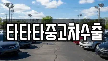 경기도 용인시 수지구 풍덕천동 중고차 전문 타타타중고차수출