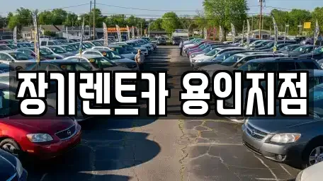 경기도 용인시 처인구 포곡읍 장기렌트카 전문 장기렌트카 용인지점