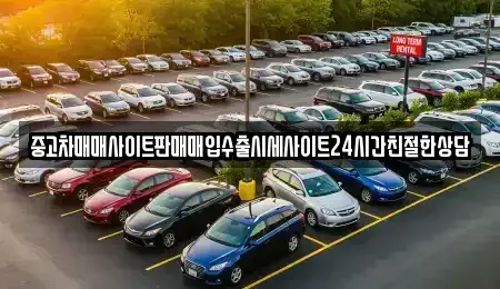 경기도 용인시 처인구 포곡읍 중고차매매 전문 중고차매매사이트판매매입수출시세사이트24시간친절한상담