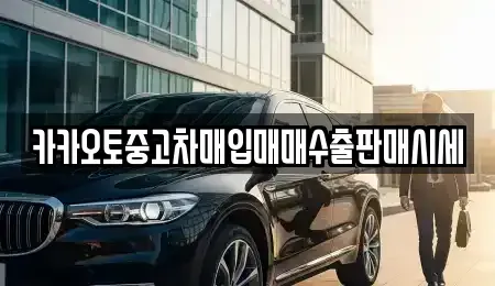 경기도 용인시 처인구 포곡읍 중고차매입 전문 카카오토중고차매입매매수출판매시세