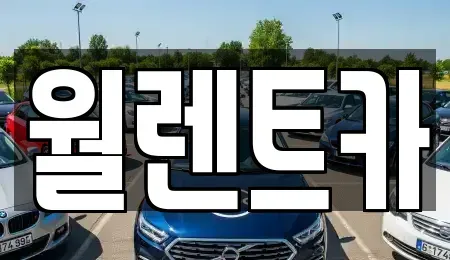 경기도 의왕시 왕곡동 렌트카 전문 월렌트카