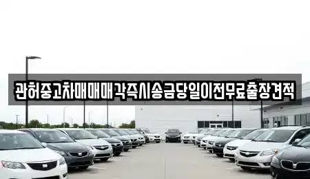 경기도 의정부시 자일동 중고차 전문 관허중고차매매매각즉시송금당일이전무료출장견적