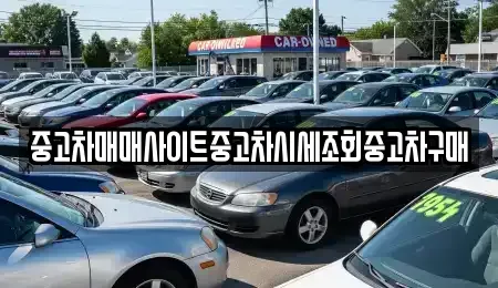 경기도 이천시 단월동 중고차매매 전문 중고차매매사이트중고차시세조회중고차구매