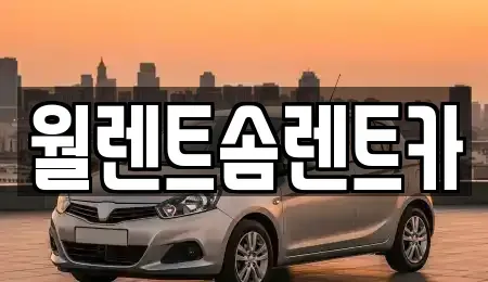 경기도 이천시 송정동 렌트카 전문 월렌트솜렌트카
