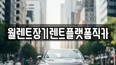 경기도 이천시 송정동 렌트카 전문 월렌트장기렌트플랫폼직카