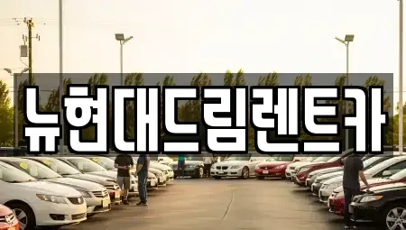 경기도 이천시 증일동 렌트카 전문 뉴현대드림렌트카