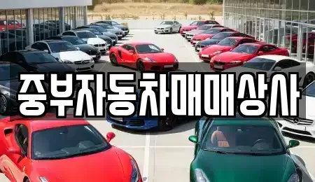 경기도 이천시 증일동 중고차매매 전문 중부자동차매매상사