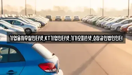 경기도 파주시 동패동 렌트카 전문 기업용사무실인터넷,KT기업인터넷,기가오피스넷,소상공인법인인터