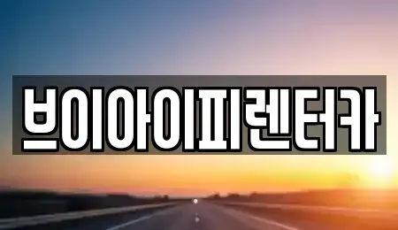 경기도 파주시 동패동 렌트카 전문 브이아이피렌터카