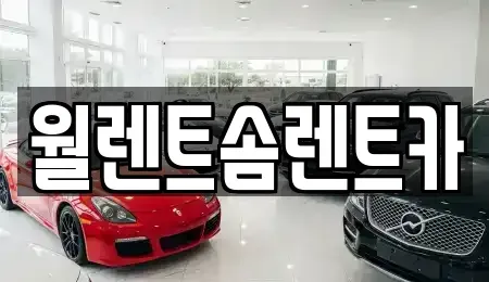 경기도 파주시 동패동 렌트카 전문 월렌트솜렌트카