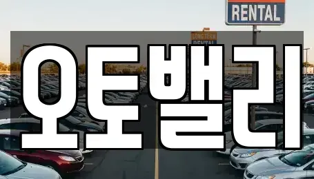 경기도 파주시 동패동 중고차 전문 오토밸리