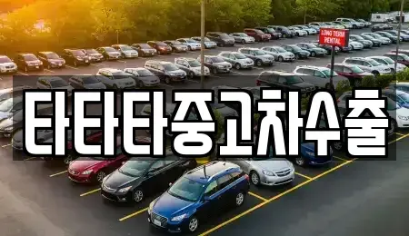 경기도 파주시 동패동 중고차 전문 타타타중고차수출