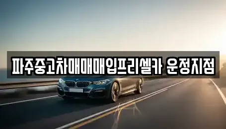 경기도 파주시 목동동 중고차매입 전문 파주중고차매매매입프리셀카 운정지점