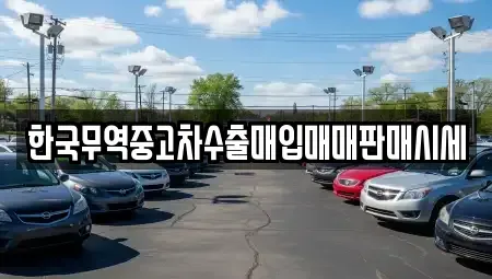 경기도 파주시 목동동 중고차매입 전문 한국무역중고차수출매입매매판매시세