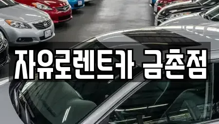 경기도 파주시 월롱면 렌트카 전문 자유로렌트카 금촌점