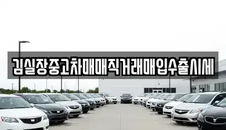 경기도 파주시 월롱면 중고차매입 전문 김실장중고차매매직거래매입수출시세