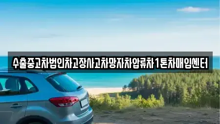 경기도 파주시 월롱면 중고차매입 전문 수출중고차법인차고장사고차망자차압류차1톤차매입센터