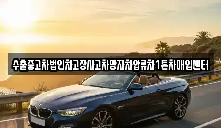 경기도 파주시 탄현면 중고차 전문 수출중고차법인차고장사고차망자차압류차1톤차매입센터
