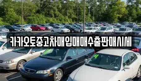 경기도 파주시 탄현면 중고차매입 전문 카카오토중고차매입매매수출판매시세
