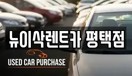 경기도 평택시 신대동 렌트카,단기렌트카,장기렌트카,중고차,중고차매매,중고차매입