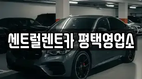 경기도 평택시 신대동 렌트카 전문 센트럴렌트카 평택영업소