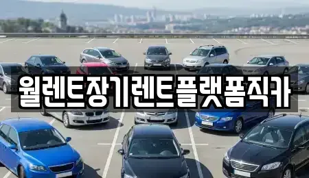 경기도 평택시 신대동 장기렌트카 전문 월렌트장기렌트플랫폼직카