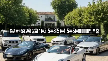 경기도 평택시 신대동 중고차 전문 중고트럭중고화물차1톤2.5톤3.5톤4.5톤5톤매매매입수출
