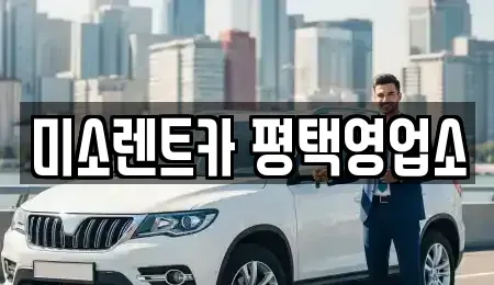 경기도 평택시 용이동 렌트카 전문 미소렌트카 평택영업소