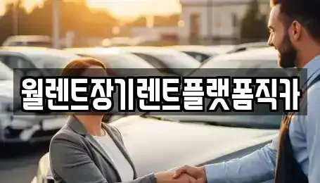 경기도 평택시 용이동 렌트카 전문 월렌트장기렌트플랫폼직카