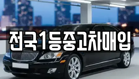 경기도 평택시 용이동 중고차 전문 전국1등중고차매입