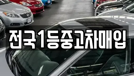 경기도 평택시 용이동 중고차 전문 전국1등중고차매입