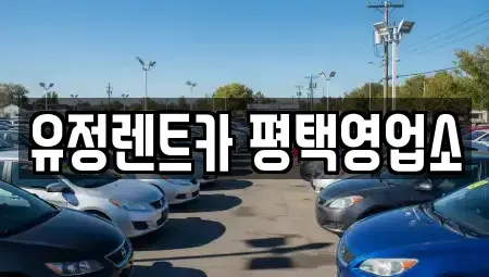 경기도 평택시 유천동 렌트카 전문 유정렌트카 평택영업소
