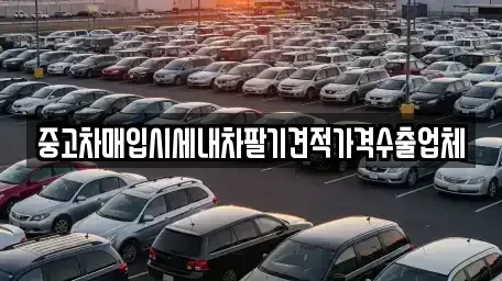 경기도 평택시 유천동 중고차매입 전문 중고차매입시세내차팔기견적가격수출업체