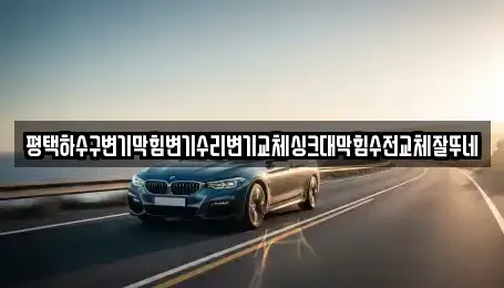 경기도 평택시 유천동 중고차매입 전문 평택하수구변기막힘변기수리변기교체싱크대막힘수전교체잘뚜네