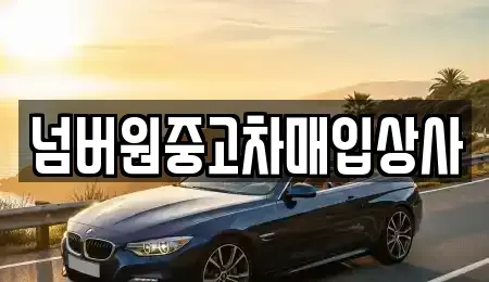 경기도 하남시 천현동 중고차매입 전문 넘버원중고차매입상사