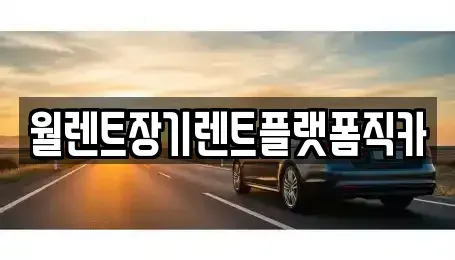 경기도 하남시 초이동 장기렌트카 전문 월렌트장기렌트플랫폼직카