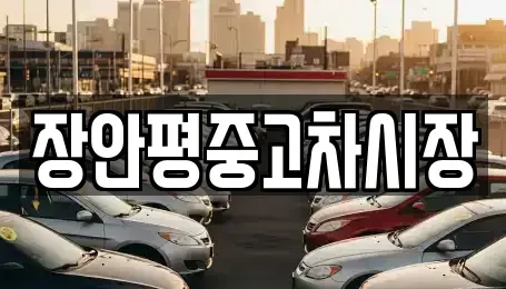 경기도 하남시 초이동 중고차 전문 장안평중고차시장